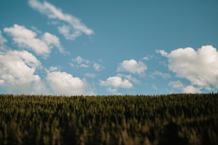 Jonas_Seaman_Americanvirus_Yearbook_2015_1127